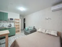 Apartments Krasnodar Hotels in Krasnodar