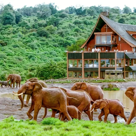 The Ark Lodge Hotels in Nyeri