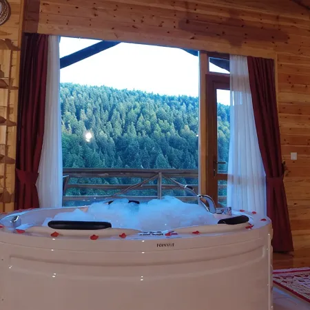 Abant Kartal Yuvasi Hotel