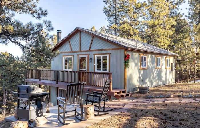 Cool Summer Cabin Near Bailey & Red Rocks - Fire Pit, Deck Views + Dogs Allowed