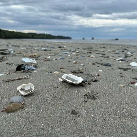 Beach Haven