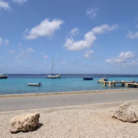Waterfront Condo, shared pool,walking distance to town steps away from the Ocean