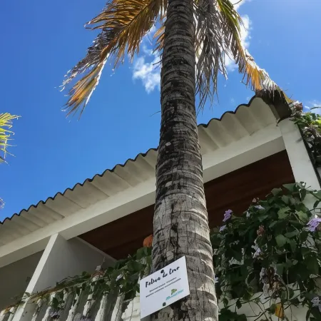 Alborada Hotel Melgar