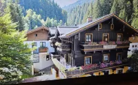 Pension Lederergütl - Jokercard & Parkplatz Inkl - Mountain view