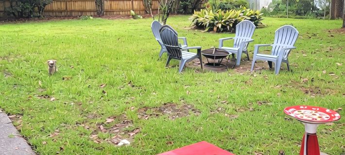 Magnolia Gnomes and Gardens, Large Fenced yard and Pets Stay Free!! Hotels in Foley