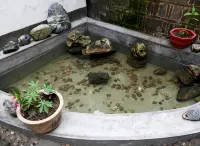 Tongmao Inn - Gasthöfe