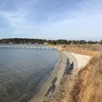 Beach House on Chesapeake Bay! - Boutique