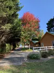 Lazy Lake Cabins - Cozy comfort in the Blue Ridge Mountains - 4 stjerner