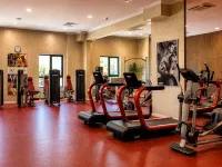 Vitosha Park Hotel - Free Indoor Pool & Parking - palestra