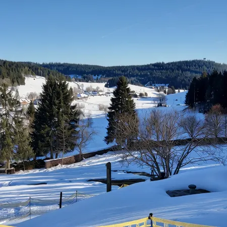 Top apartment Wolfspfote in the vacation resort with swimming pool in the Hochschwarzwald paradise