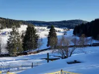 Top apartment Wolfspfote in the vacation resort with swimming pool in the Hochschwarzwald paradise - Homestays