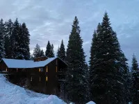 Cozy Cabin 5.5 Bedrooms, Forest/Mountain View 3 Decks 2 Masters Hot Tub 4200Sqft - Vuoristonäköala