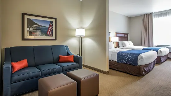 Comfort Suites Lake Geneva East