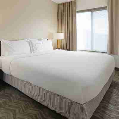 SpringHill Suites Dallas Addison/Quorum Drive Rooms