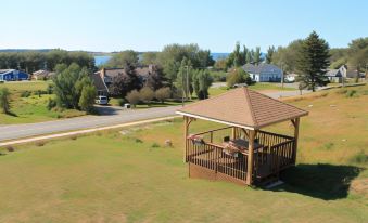 The Fiddle and the Sea Bed and Breakfast