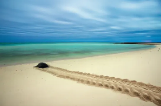 บาร์การา บลู รีสอร์ท