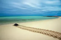 Bargara Blue Resort