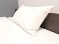 호텔 트렌드 니시신사이바시 에비스 다리 주변 호텔