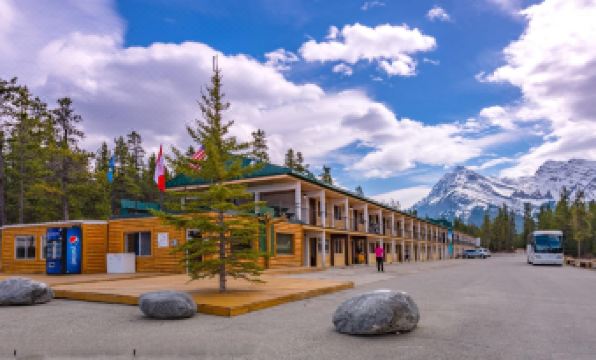 2. 데이비드 톰슨 ..