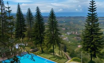 Damar Langit Resort