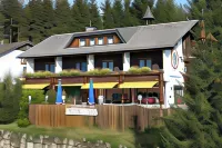 Hotel Adlerschanze Hotel di Schonwald