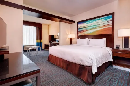 Fairfield Inn & Suites San Diego Carlsbad Отели рядом с достопримечательностью «Флауэр Филдс»