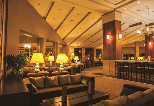 콜린 호텔 수영장