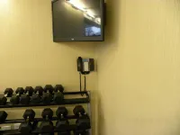 Holiday Inn CHICAGO NORTH-EVANSTON by IHG - Gym