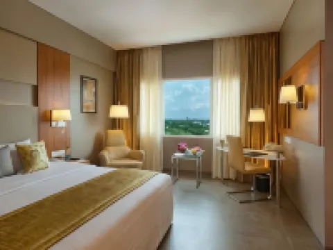 Royal Orchid Central Akota - Vadodara Hotels near Alkapuri Haveli