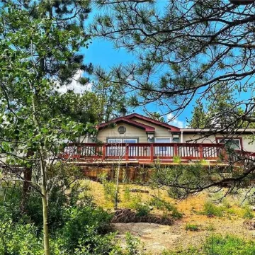 Forest cabin on 4 acres,  Newly renovated, Quiet and secluded.