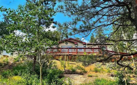 Forest cabin on 4 acres,  Newly renovated, Quiet and secluded.