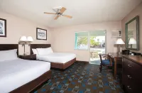 The Nautical Beachfront Resort Hotels in Lake Havasu City