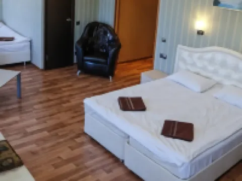 Hotel Pushkin Hotels in Pskov