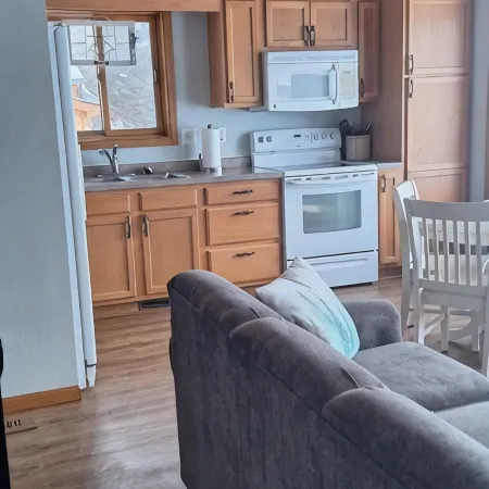 Leech Lake Cabin with Gorgeous Views!  2Br/2ba Pet Friendly! 6 Person Hot Tub!