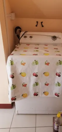 Property is located in a middleclass community, and fifteen minutes from Roseau.