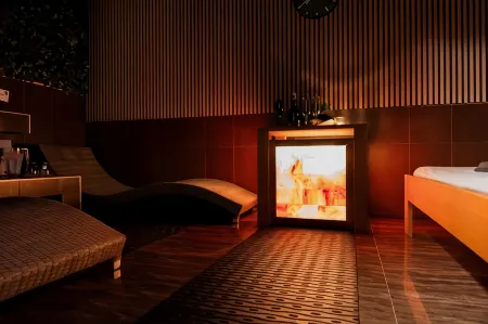 Premium Business Hotel Bratislava Отели в г. Братислава II