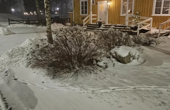 埃松加的圖西拉戈酒店