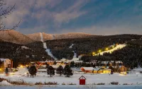 Charming 3-bedroom Angel Fire cabin