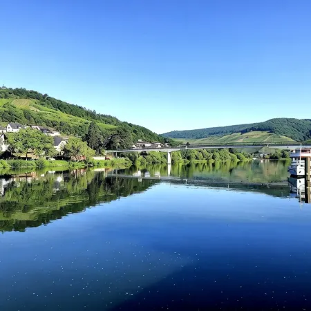 Holiday on the Moselle in our holiday apartment in Zell (Mosel)