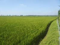 Panjin Liujun Farmhouse - Bữa sáng
