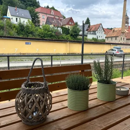 Modern furn.  Apartment "Wanderfalke", central & quiet, Säch. Switzerland, 55sqm, terrace