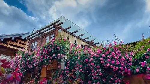 MISS MAY HOTEL - Romantic