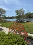 The Lakeside Cottage with 2 docks, pet friendly  in Hiawassee, GA - 3-Star