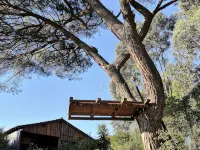 Pine Lodge - luxurious bungalow in nature Hotels in Valongo