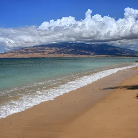 Exclusive Beachfront Cottage, Private, Ocean Views, AC, WiFi, Whale Watching!