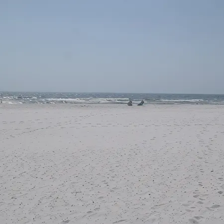 Golf and Beach Gulf Coast Paradise Golf Included