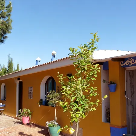 Comfortable apartment and swimming pool in the shade of the pine forest of Chipiona