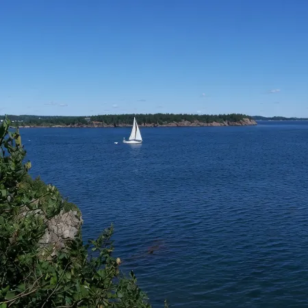 Whale Of A View, Campobello Island LOCATED ON OCEAN,  3 BR: FABULOUS VIEWS