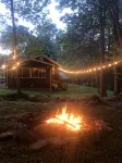 Secluded Peaceful Cabin in the Forest