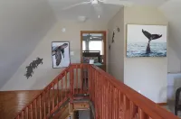 Cheerful, Semi Oceanfront, pet friendly, w/pool